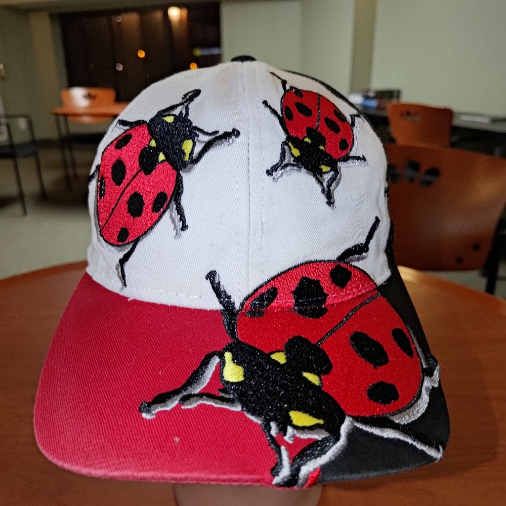 Vintage Wild Cotton Embroidered Ladybug Color Blocking Snapback Hat Cap